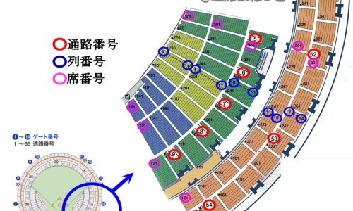 鱼鳞病是什么意思-鱼鳞病有什么症状表现网—知名的鱼鳞病是什么意思网站,分享鱼鳞病几个月会显示症状知识